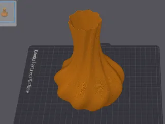 elegant vase