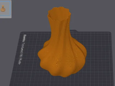 elegant vase
