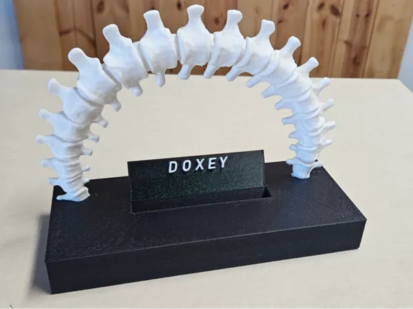 https://makerworld.bblmw.com/makerworld/model/US1453afe39382a4/design/a228a863b27805ad.jpg