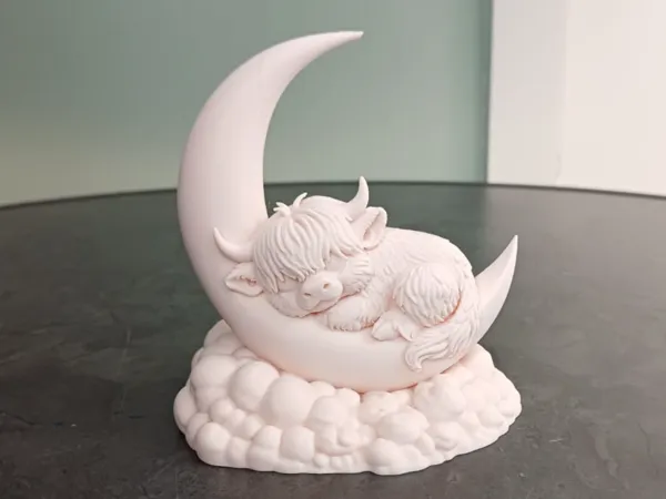 https://makerworld.bblmw.com/makerworld/model/US14584431e78ee7/design/98476628420c88d1.jpg