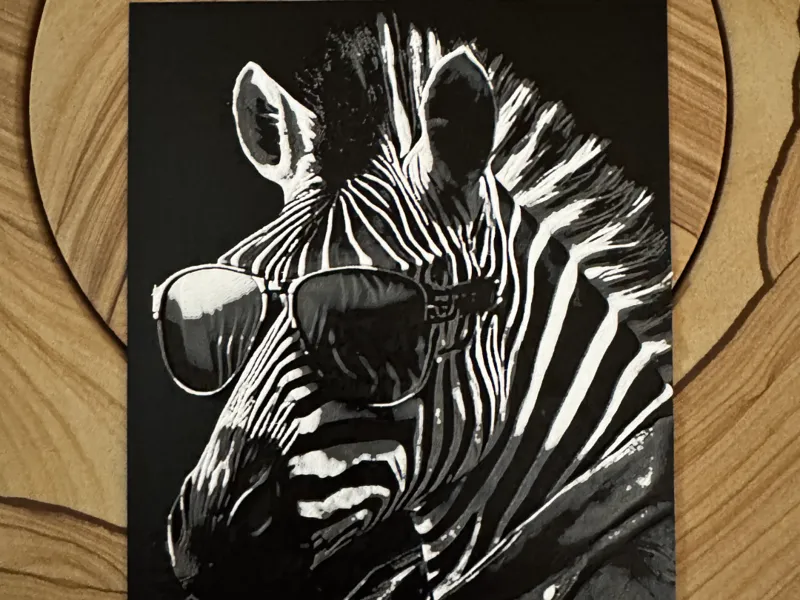 Hueforge Zebra mit Sonnenbrille