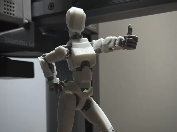 https://makerworld.bblmw.com/makerworld/model/US145d791fef2c89/design/2025-05-01_0c4ee6dbd4af7.jpeg