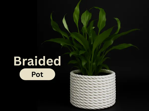 https://makerworld.bblmw.com/makerworld/model/US1461815f4f1b81/design/2025-08-24_9274c485787388.png