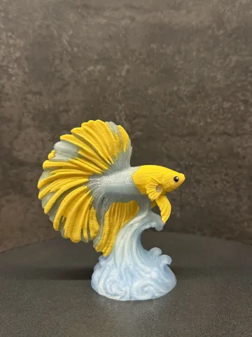 Tapa o cubierta: Golden Wave Betta — vista de referencia 5