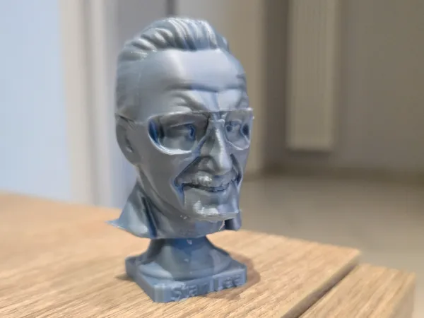 https://makerworld.bblmw.com/makerworld/model/US1467d16e8628fd/design/2025-05-13_9c99168fb27bc.jpg