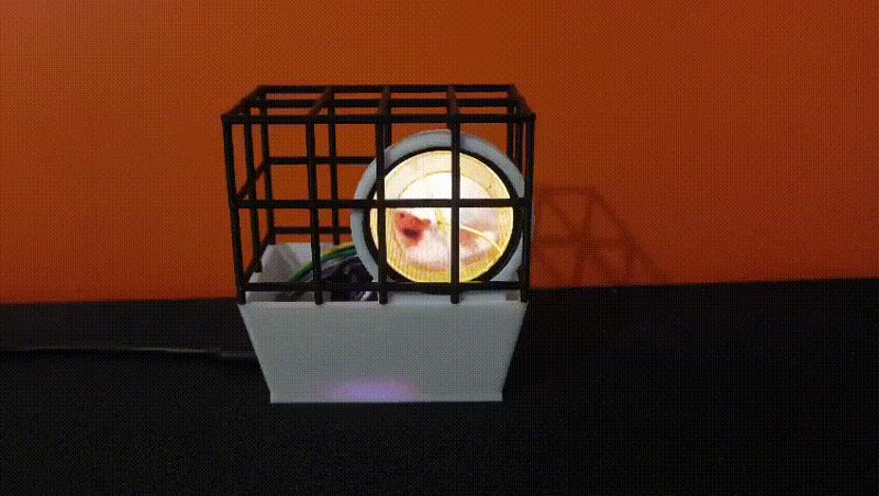 hamster cage for esp32 and round display