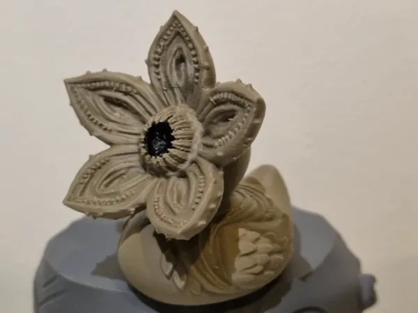 https://makerworld.bblmw.com/makerworld/model/US146d12d85a6952/design/6644c541a726d0af.jpg