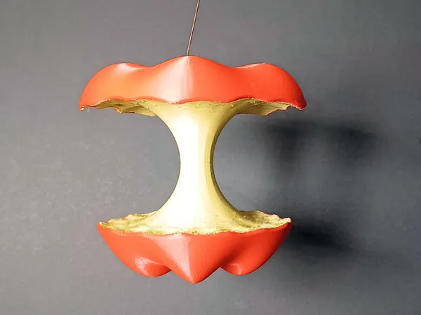 https://makerworld.bblmw.com/makerworld/model/US14711d8133a099/design/2024-09-02_72806657bebf4.jpg