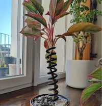 Tuteur de plante en spirale — photo 1