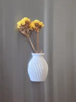 Vase Only