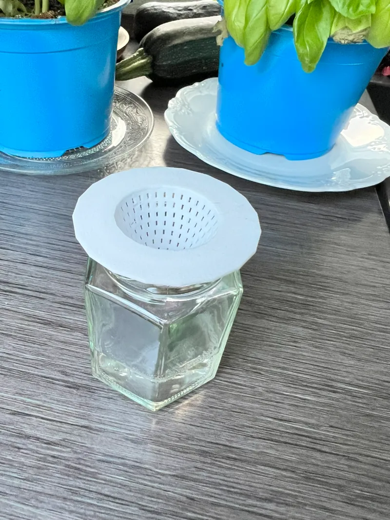 fruitfly trap / flytrap whith a jar or glass