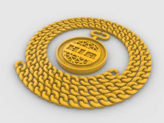 [ZZZ] HIA commermorative coin necklace 调查协会纪念币项链