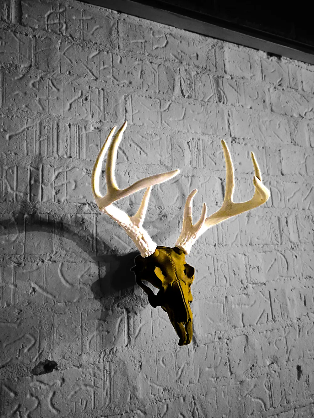 잭어로프 해골 - 실제 및 3D 프린팅 뿔 장식 - 무료 3D 프린트 모델 - MakerWorld, image size:1000x1333