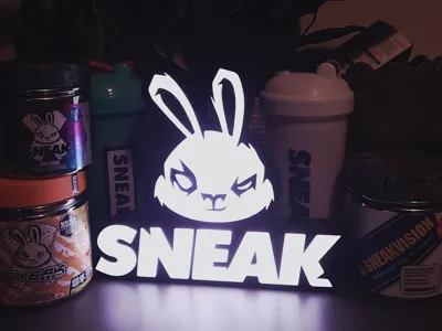 SNEAK Energy Light Box