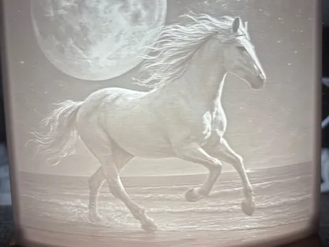 le cheval et la lune
