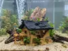 Terrarium Dual Color (no AMS) 5% infill