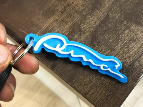 https://makerworld.bblmw.com/makerworld/model/US148de15ecbccda/design/2025-09-12_5c985ed77d9ef.jpg
