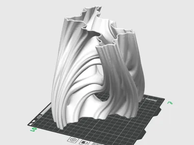3D Organic Vase