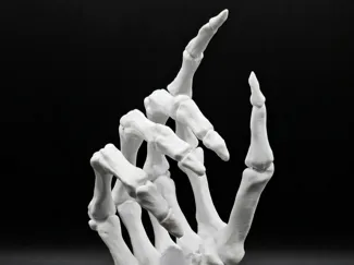 Skeleton Hand