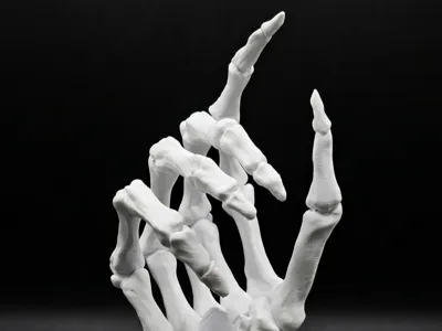 Skeleton Hand