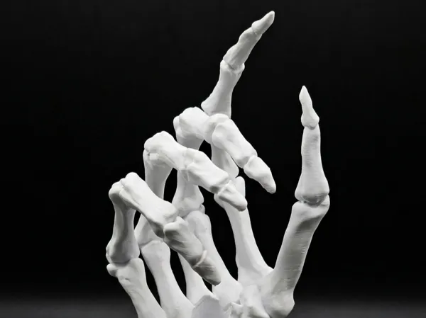 https://makerworld.bblmw.com/makerworld/model/US14a54d12704e4c/design/becfbaa657c75a41.png