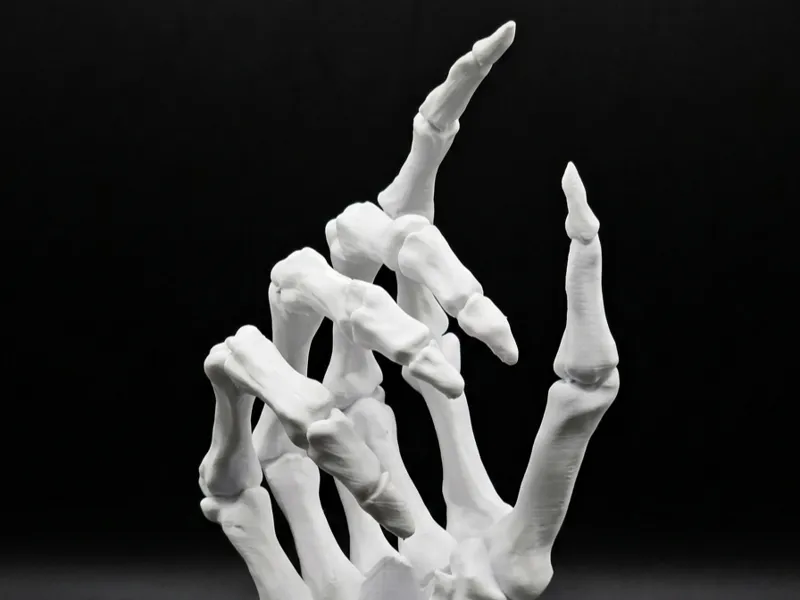 Skeleton Hand