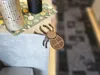 Spider Fool
