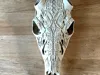 Cyborg BAS Antler Mount Skull - 100% Scale