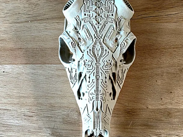 https://makerworld.bblmw.com/makerworld/model/US14a965bb256aff/design/d9afba4ae0722f16.jpg