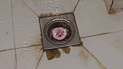 Floor drain anti-odor anti-insect fast drainage