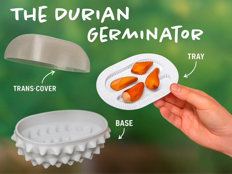 The Durian Germinator