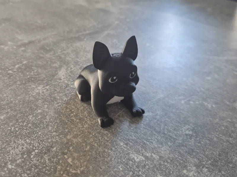 French Bulldog