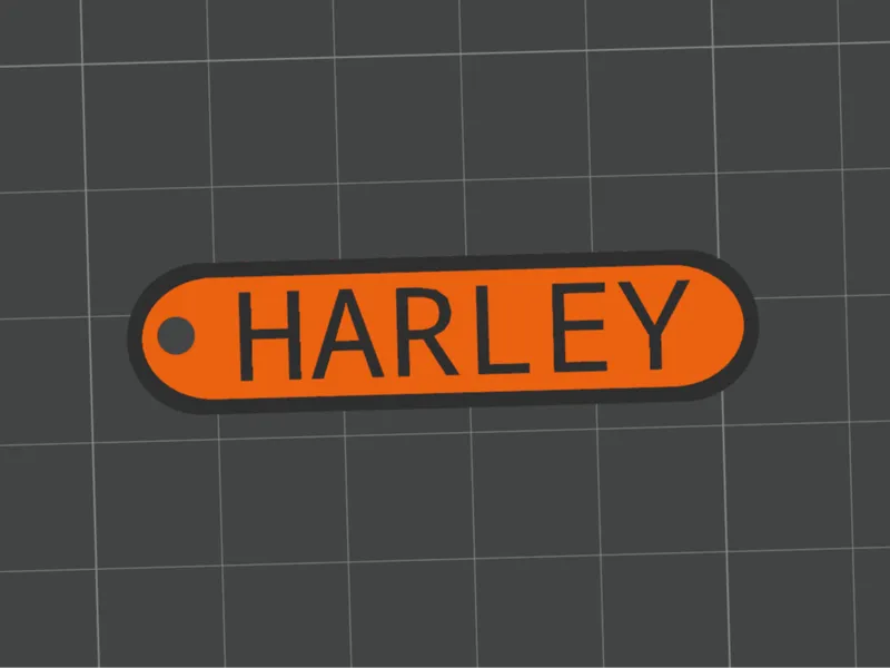 Harley Davidson Keychain