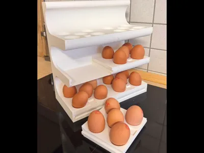Egg rack for XL eggs with compartments