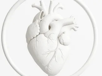 Heart with stand