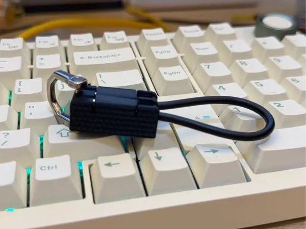 https://makerworld.bblmw.com/makerworld/model/US14c3bc993304d3/design/2025-11-03_d0a09ff1850978.jpg