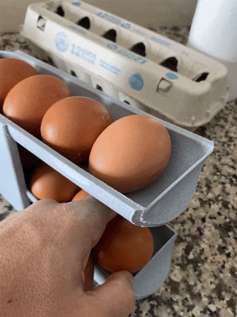 Egg Holder 