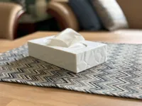 0.2mm layer, 2 walls, 5% infill