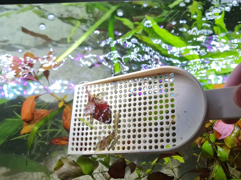Aquarium Schaufel Sieb für Wasserpflanzenreste