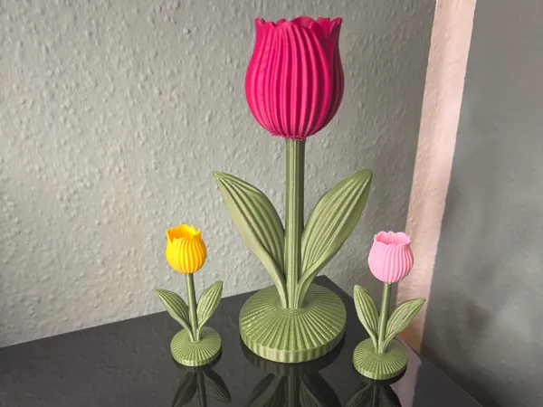 https://makerworld.bblmw.com/makerworld/model/US14d7d0a8cad374/design/4bcbceb56c6a1a0b.jpeg