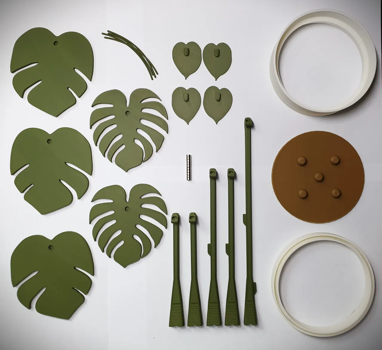Monstera Flower Cup Coasters view 4