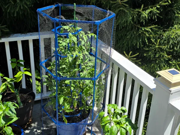 https://makerworld.bblmw.com/makerworld/model/US14db1a845092ce/design/2025-07-24_0a74df5b5bbc48.jpg