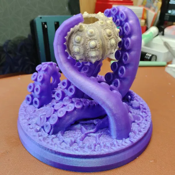 https://makerworld.bblmw.com/makerworld/model/US14dfca96718945/design/2024-04-24_18c620e4709f6.jpg