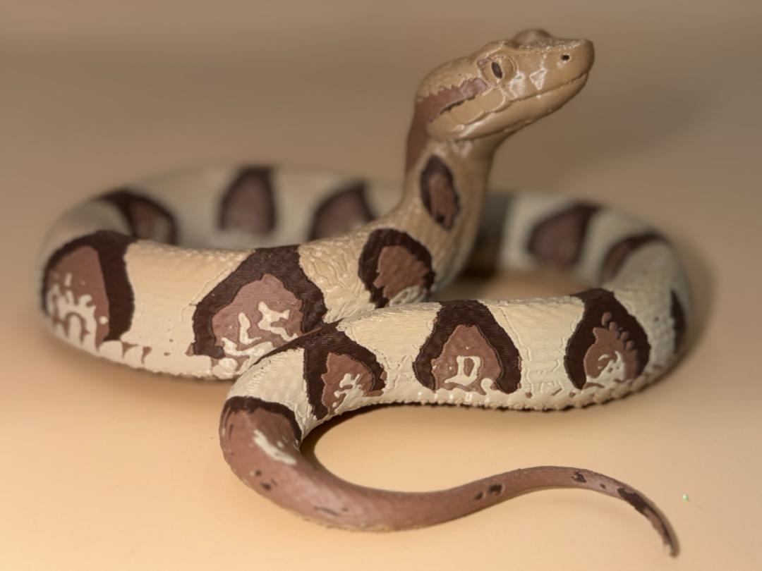 Copperhead Snake