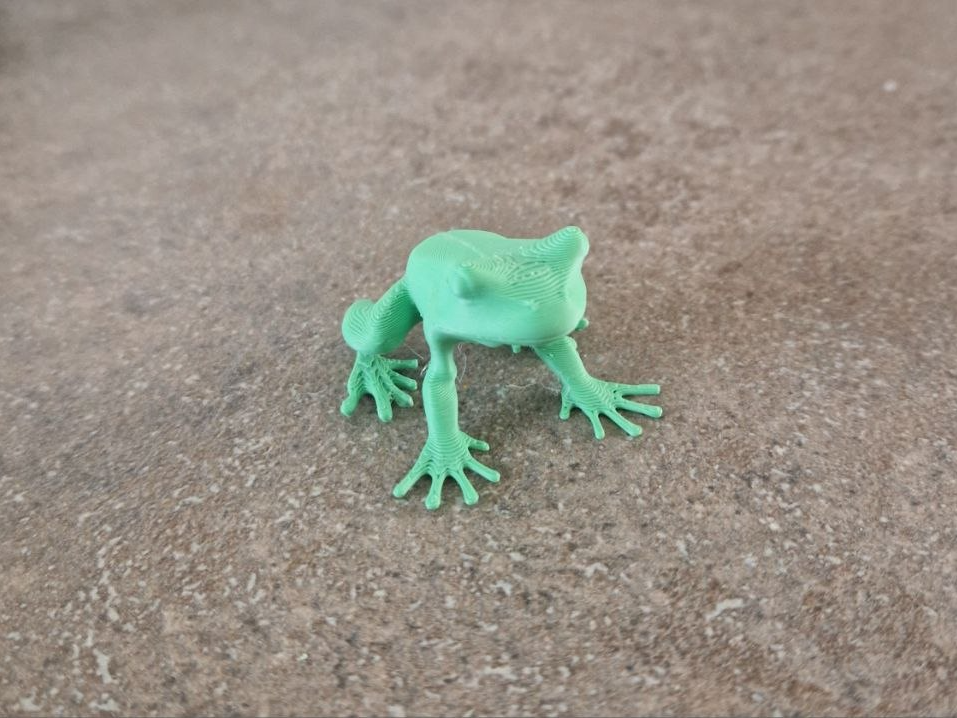 realistic tree frog
