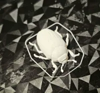 Single Color - 0.08mm layer, 2 walls, 10% infill