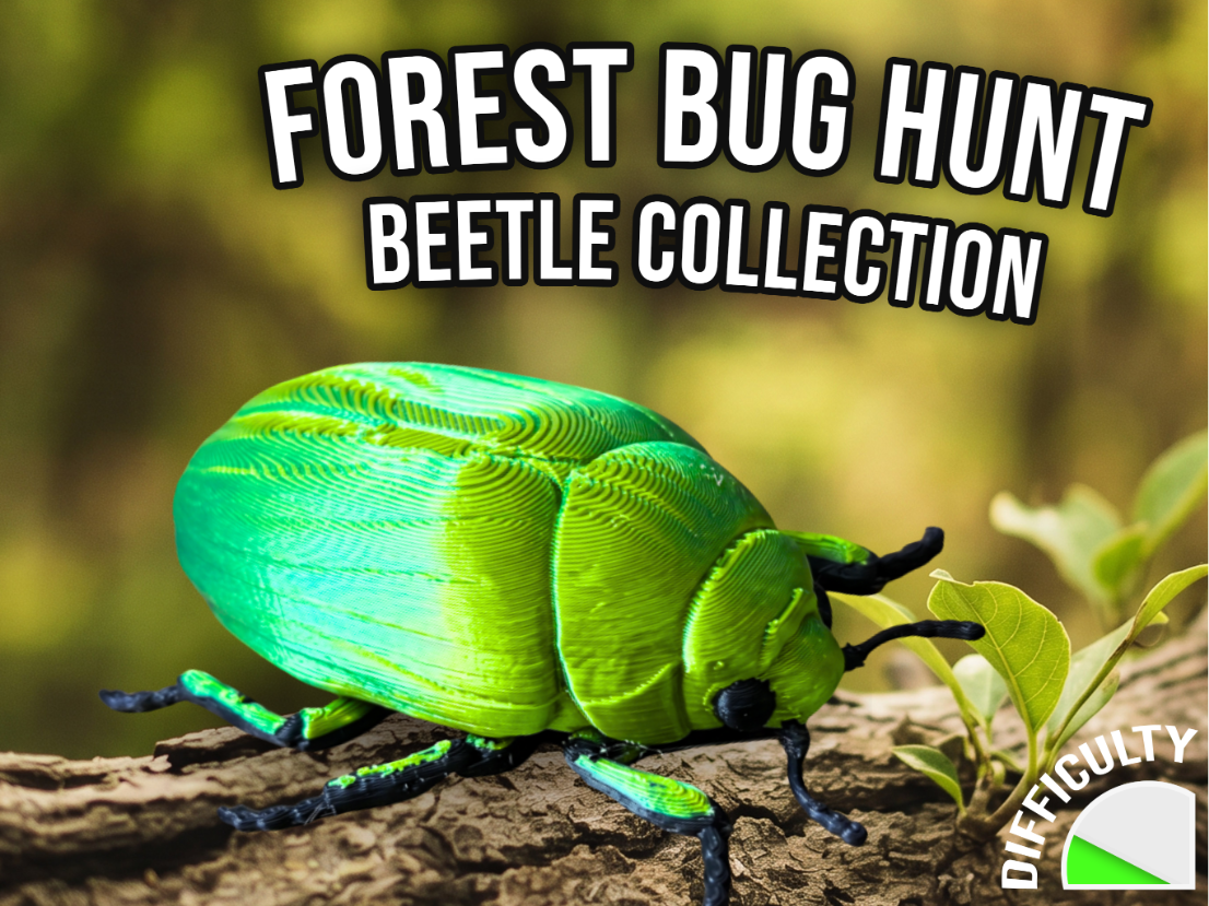 Real bug hunt - Jewel Scarab Beetle