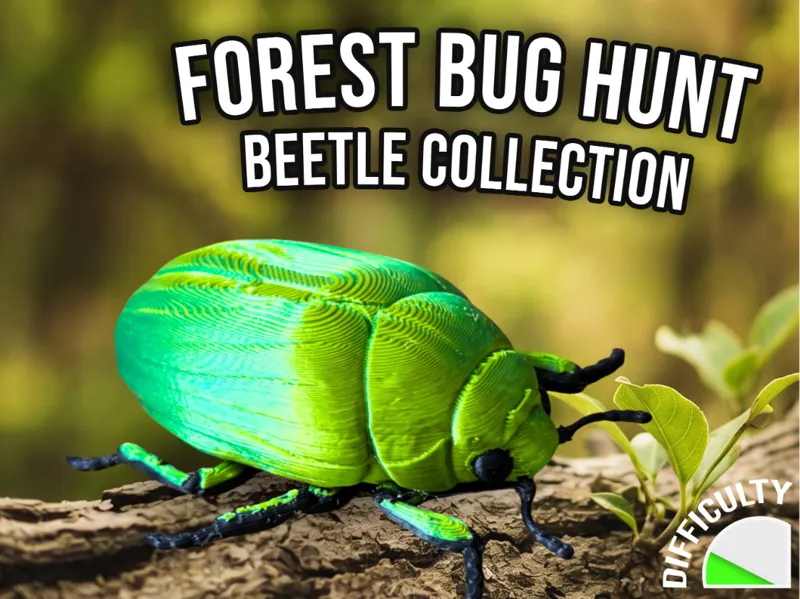 Real bug hunt - Jewel Scarab Beetle