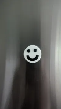 2 colors no ams using pause 