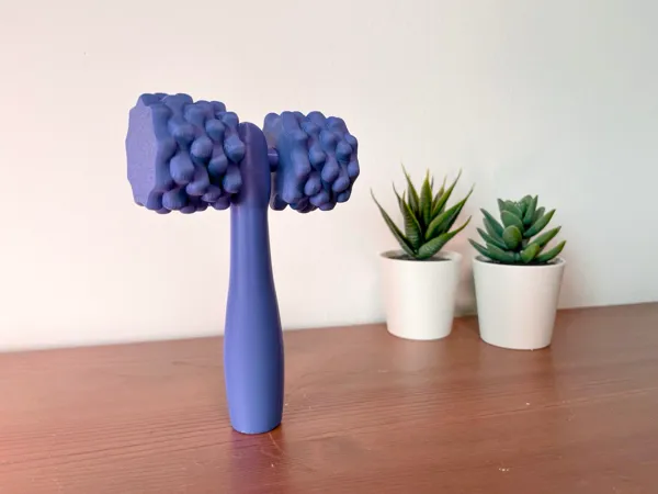 https://makerworld.bblmw.com/makerworld/model/US14f9dfc70ca58f/design/2024-04-27_ae721797f34188.jpg